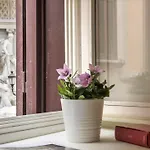 Appartement Luxury With Direct Trevi Fountain View Romantic